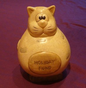 Fat Cat Savings Pot