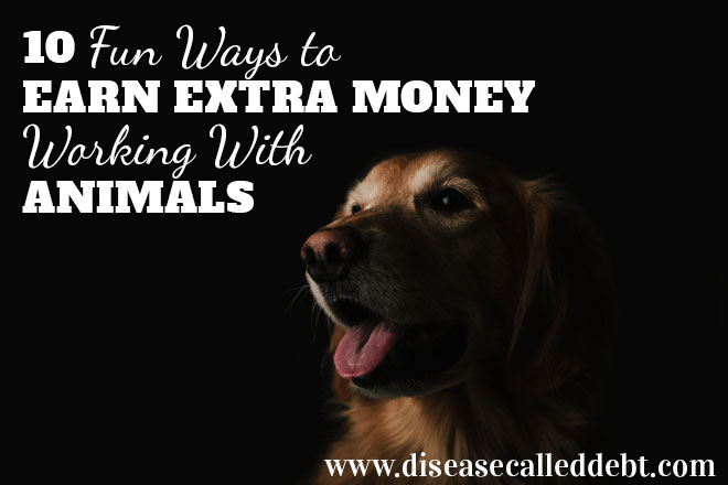 10 fun ways to earn money working with animals - Disease Called Debt