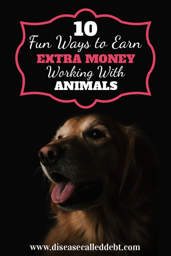 10 fun ways to earn money working with animals - Disease Called Debt