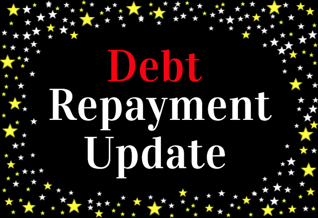 Debt Repayment Update July 2014